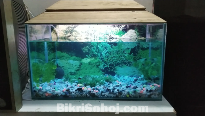একুরিয়াম সেল হবে একসাথে মাছ আছে